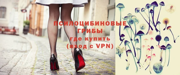 прущие крисы Абаза
