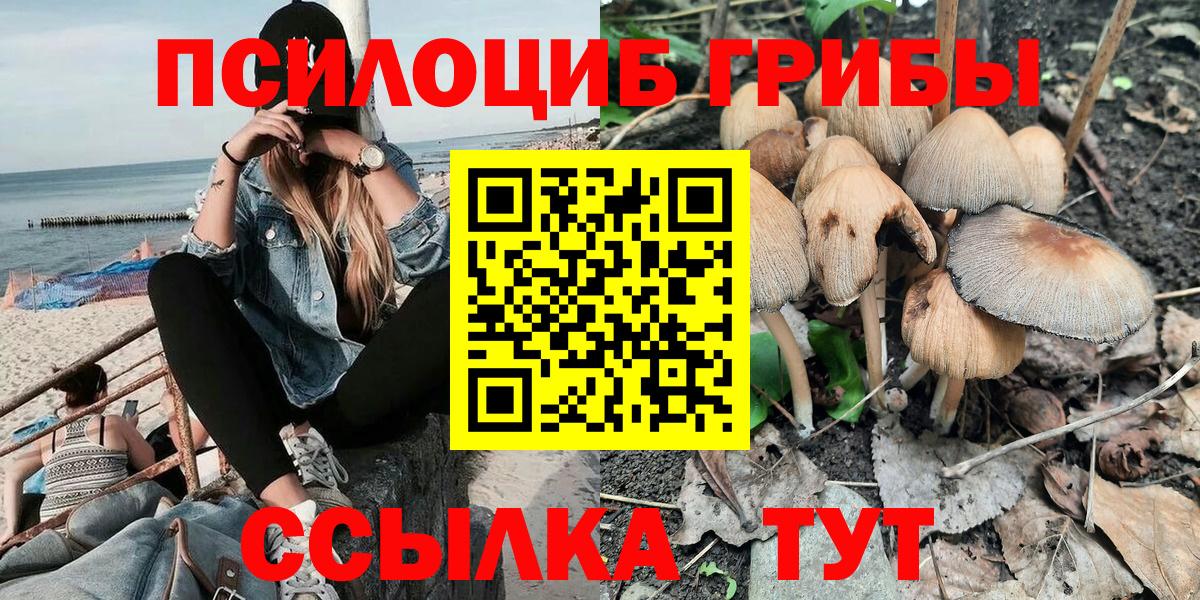 Псилоцибиновые грибы GOLDEN TEACHER Лабинск